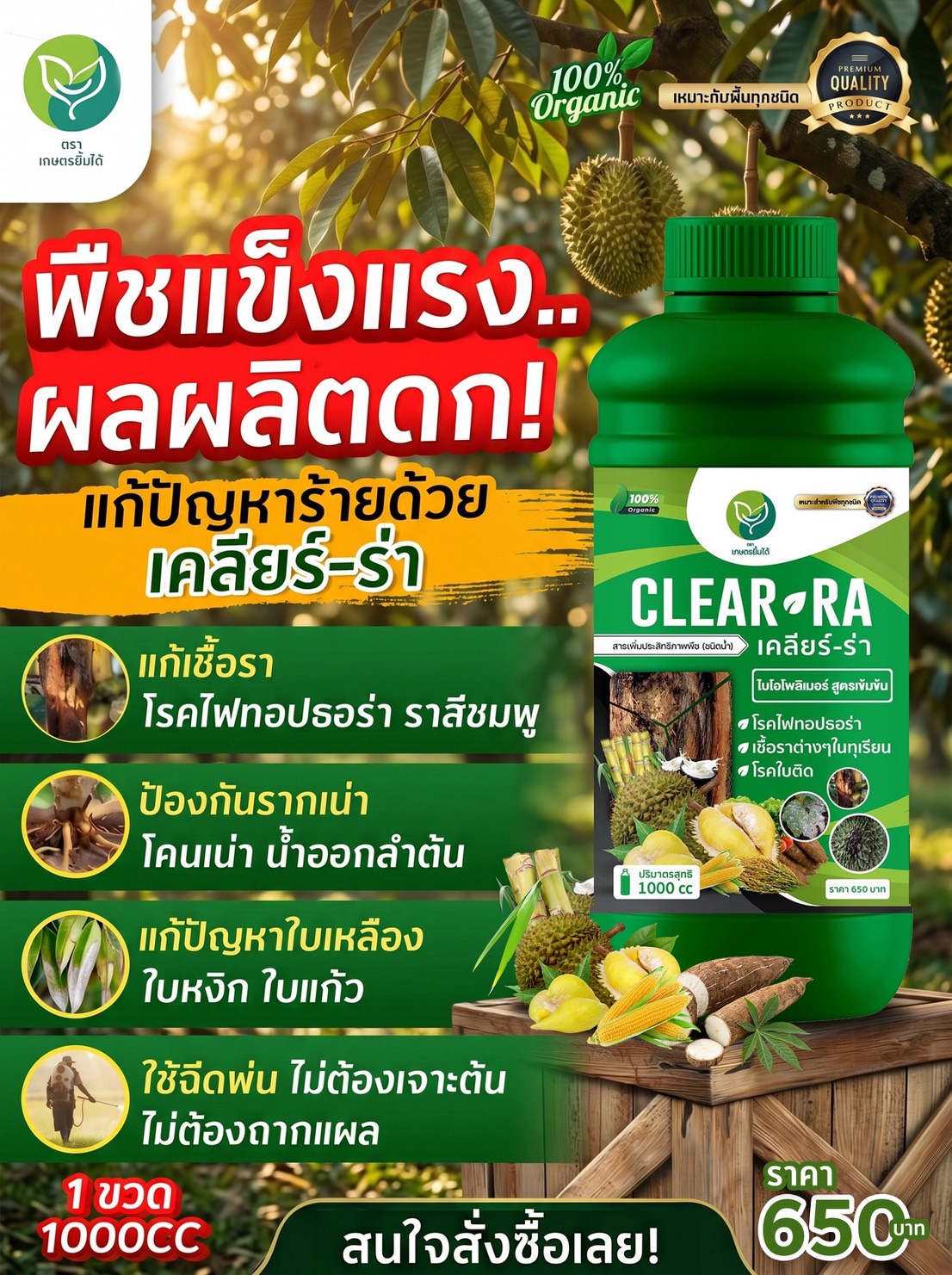 CLEAR-RA รูปที่ 2